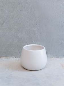 White Belly Vase