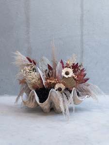 Dried flower: Ruby Depth Giant Clam