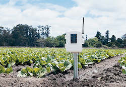 Accessories Parts: Davis Leaf & Soil Moisture/Temp Station 6345NZ