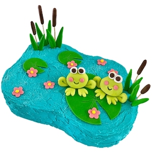 Cake: Cute Frog DIY Cake Kit Baby Shower & 1st Birthday Recipe