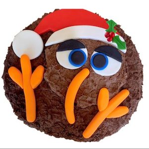 Christmas Kiwi Cake Kit - DIY Christmas Cake Recipe