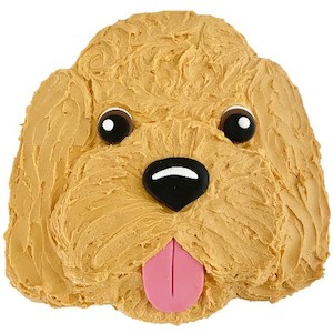 Cute DIY Cavoodle Birthday Cake Kit Cake 2 The Rescue Oodle Cake