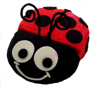 Cake: Easy DIY Ladybug Cake Kit Baby Shower, First Birthday Cake Ideas