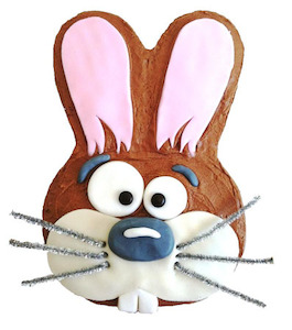 DIY Hop Hop Easter Bunny Cake Kit Easter Cake and Dessert Ideas