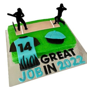 Cricket Pitch Cake Kit Cricket Cake Ideas Cricket Cake Topper