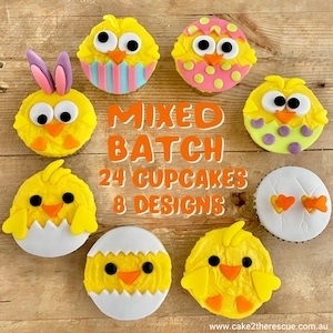 Easter Mixed Cupcake Kit Kids Holiday Baking DIY Cupcakes