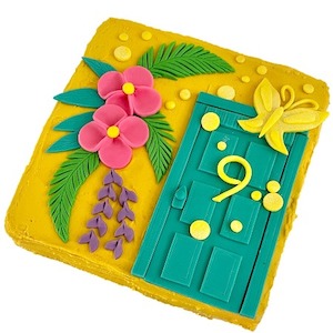 DIY Butterfly Door Birthday Cake Kit Cake 2 The Rescue