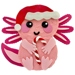 Cake: Christmas Axolotl Cake Kit Easy All-inclusive Kit