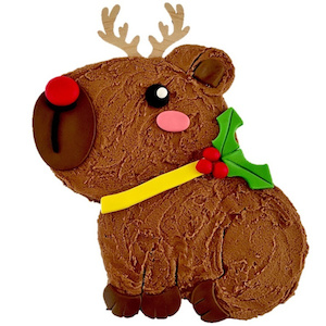 Christmas Capybara Cake Kit Fun All Inclusive Kit