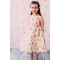 Floral Organza Dress