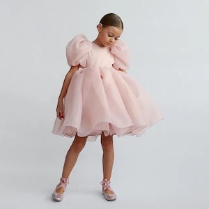 Event, recreational or promotional, management: Girls' Enchanted Princess Tulle Tutu Dress