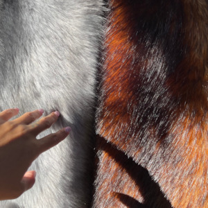 Event, recreational or promotional, management: Silvery Grey Faux Fur Wrap