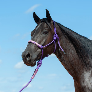 Braided Rope Halter and 7.5-foot Leadrope