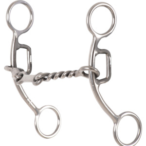 Rent Carol Goostree Delight Shank Gag Barrel Bit with Twisted Wire Dr. Bristol