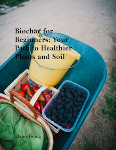 Biochair for Beginners: Your Path to Healthier Plants and Soil eBook