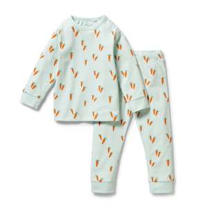 Organic Long Sleeved Pyjamas | Cute Carrots