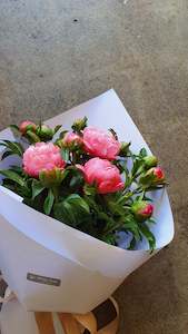 Peony bunch