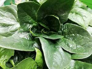 Streamside Organic Spinach