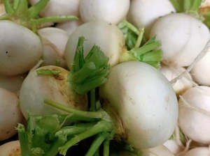 Streamside Organic Salad Turnips - Bunch