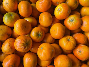 Katikati Spray Free Mandarins - Encore