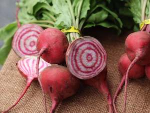 Firesale: Streamside Organic Beetroot - Chioggia