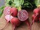 Streamside Organic Beetroot - Chioggia