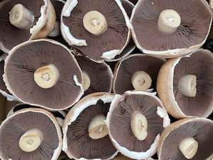 SHARING NZ Organic Mushrooms - Portobello 250 g