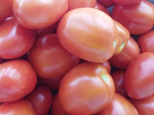 Crooked Vege Organic Tomatoes