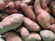 NZ Organic Kumara - Beauregard Orange