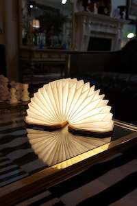 Accordion Fan Lamp