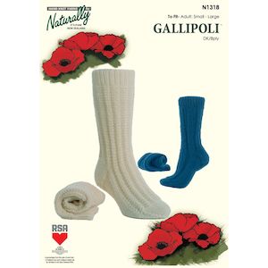 Gallipoli 8 Ply Socks Knitting Pattern (N1318)