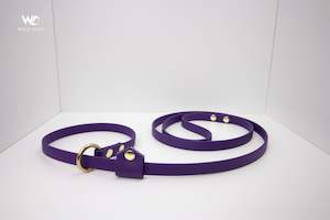 Adventure Proof Leashes: BioThane Slip Leash with Stopper