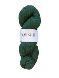 Possum 4ply Fern