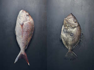 Products: Seafood Pack: Snapper & John Dory