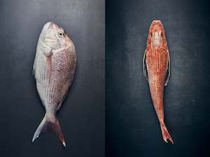 Seafood Pack: Snapper and Gurnard