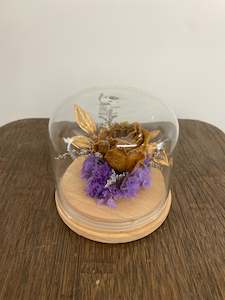 Florist: Dried flower Glass Domes