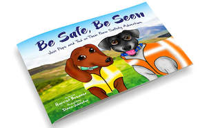 Be Safe, Be Seen Book