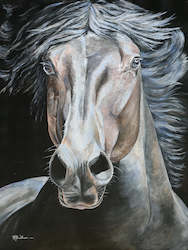 Fine Art Print: Silver Steed by Heather Wilson