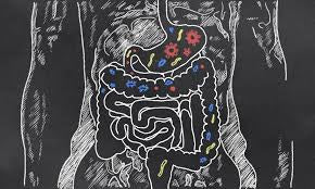 Testing Options: Full Blood Food Allergy test icl. practitioner support