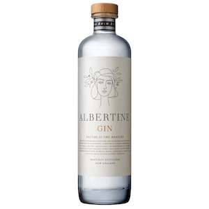 Wine and spirit merchandising: Hastings Distillers Albertine Gin 500ml