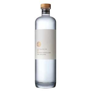 Wine and spirit merchandising: Hastings Distillers East Block 200 Gin 700ml