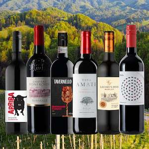 Wine and spirit merchandising: The Best Ever European Value Reds Mix