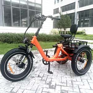 Electric Trike: E-Trike More Stability with Slide Seat Model T-3