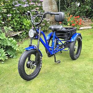 Electric Trike: E-Trike  - Latest Technology now with Reverse