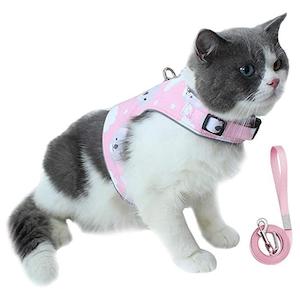 Promotion Monthly Sales: Cat Kitten Reflective Strap Walking Harness and Leash