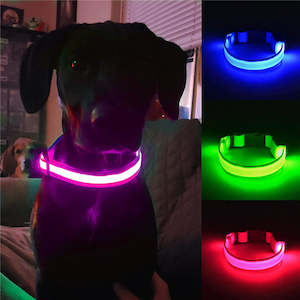 USB Rechargeable Light Up Dog Collars for Night Walking