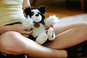 Baby: Sheepdog Toy