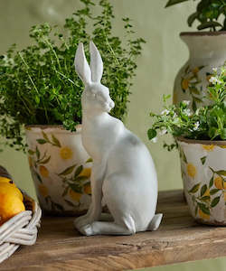 Homewares: Harold the Hare