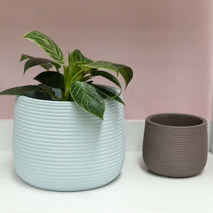 Homewares: Poppy Planter