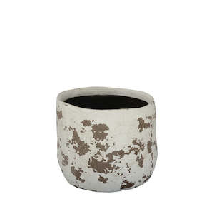 Habitat 101: Dara Planter